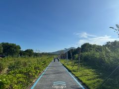 -西涌国际滨海旅游区