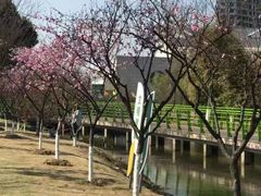 -金银湖国家城市湿地公园