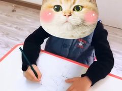 -稚未学·逻辑思维·少儿美术·儿童桌游