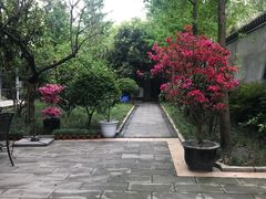 -生宇山珍野生菌汤锅•始于1999(双流古塔店)