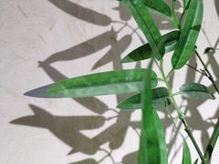 -河风の幸会精致料理
