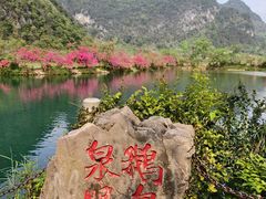 -靖西鹅泉风景区