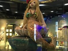 -成都泰迪熊博物馆