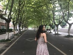 -四川农业大学(雅安校区)