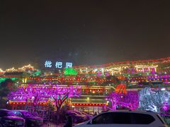-枇杷园食为鲜火锅(南山店)