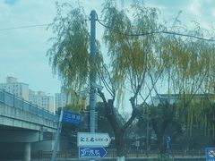 -三林塘老街