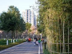 -沐仙湖湿地公园