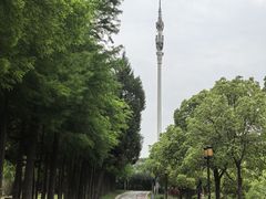 -瑞慈体检南通滨江机构