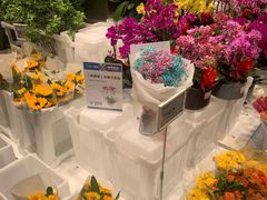 -盒马X会员店(王府井奥莱UP TOWN店)