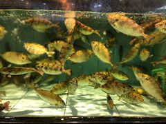 -越百海海鲜蒸锅(乐山店)