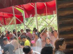 -将军关探险漂流