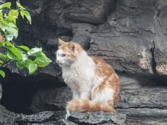 -荔湾湖公园
