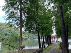 -西樵山风景名胜区-天湖公园