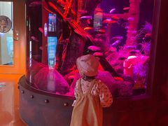 -沈阳海洋探索中心