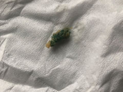 -白玉兰传统小吃