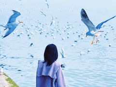 -滇池海埂公园