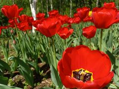 -长春公园(普阳街道)