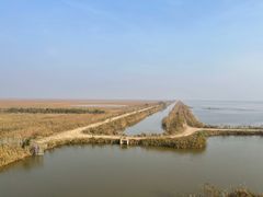 -盐城丹顶鹤湿地生态旅游区