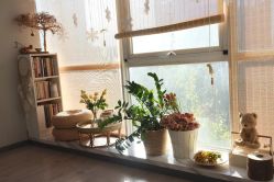 -妙YOGA瑜伽健康管理中心