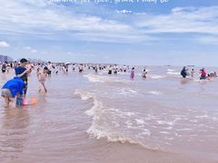 -奉贤海滩