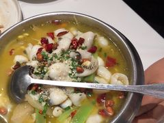 -Aqua Oasis 水天堂(石路天虹店)