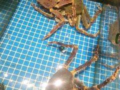 -连鹭海鲜·海肠捞饭·海胆饭(星海店)