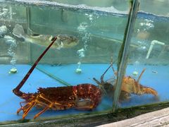 -江天生态园餐厅