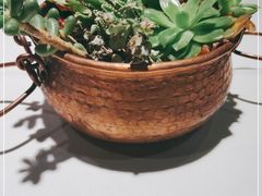 -泓0871臻选云南菜·味庄