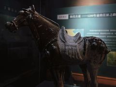-衢州市博物馆