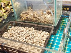 -九月海·海鲜自助(世纪东方店)