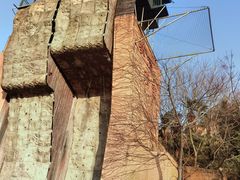 -东平国家森林公园