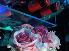 -ALICE PARTY自助式  KTV(松柏路店)