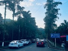 -重庆海昌加勒比海水世界