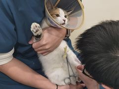 -美迦爱-牙专科·兔科·骨科诊疗中心(北苑店)
