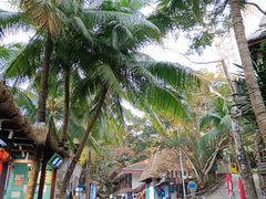 -海南分界洲岛旅游区