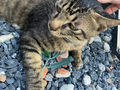-DGE季风钓虾营地·团建·聚会