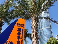 -演武大桥观景平台