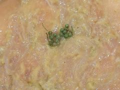 -蜀留香火锅(社会山店)