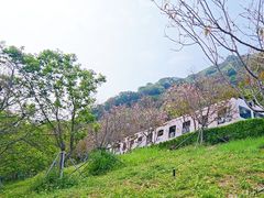 -小南山公园