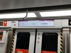 -宋家庄(地铁站)