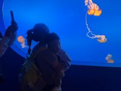 -太平洋海底世界