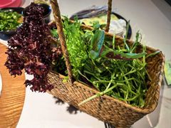 -芸山季·云南山珍菌火锅(南翔印象城MEGA店)