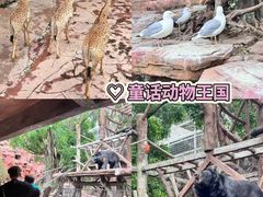-长鹿旅游休博园