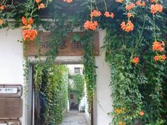 -小河直街历史文化街区