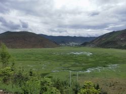 -纳帕海依拉草原