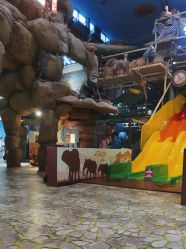 -卡通尼·Safari非洲探索乐园·生日会(金桥国际商业广场店)