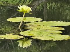 -云溪植物园