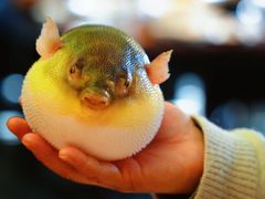 -永安鱼庄·镇江菜(东吴路店)