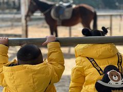 -太阳岛度假酒店