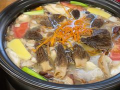 -茶马古道·野生菌清汤黄牛肉(沙溪店)